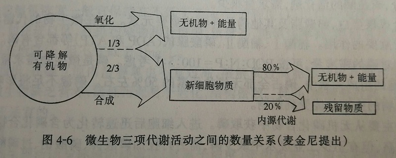 微生物代（dài）謝（xiè）活動數（shù）量（liàng）圖