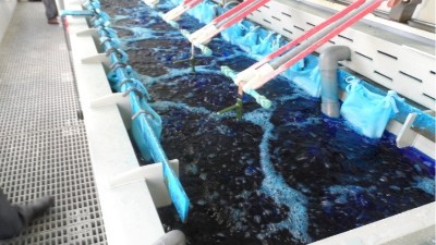 含銅電鍍廢（fèi）水如何回收銅