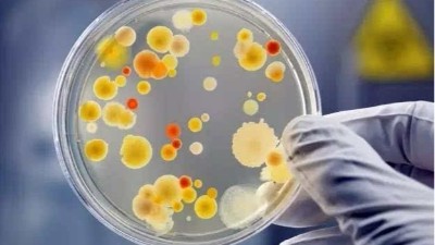 MBR膜生物反應器組件特（tè）點